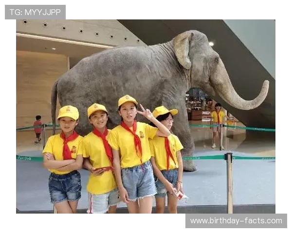 ku体育城官方地址在哪里？详细介绍官方入口的最新位置及访问步骤保障玩家顺利进入平台