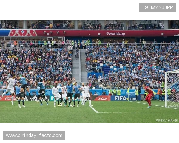 法甲联赛直播平台哪个好，专业推荐多种高清观看方式满足不同用户需求