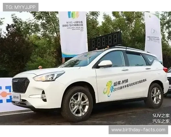 关于m6体育平台的全面介绍与最新功能解析，助你轻松掌握体育赛事直播与互动体验